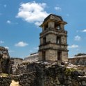 MEX CHP Palenque 2019APR06 ZonaArqueologica 092 : - DATE, - PLACES, - TRIPS, 10's, 2019, 2019 - Taco's & Toucan's, Americas, April, Chiapas, Day, Mexico, Month, North America, Palenque, Saturday, South Pacific Coast, Year, Zona Arqueológica Palenque