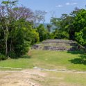 MEX CHP Palenque 2019APR06 ZonaArqueologica 094 : - DATE, - PLACES, - TRIPS, 10's, 2019, 2019 - Taco's & Toucan's, Americas, April, Chiapas, Day, Mexico, Month, North America, Palenque, Saturday, South Pacific Coast, Year, Zona Arqueológica Palenque