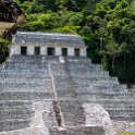 MEX CHP Palenque 2019APR06 ZonaArqueologica 095 : - DATE, - PLACES, - TRIPS, 10's, 2019, 2019 - Taco's & Toucan's, Americas, April, Chiapas, Day, Mexico, Month, North America, Palenque, Saturday, South Pacific Coast, Year, Zona Arqueológica Palenque
