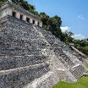 MEX CHP Palenque 2019APR06 ZonaArqueologica 099 : - DATE, - PLACES, - TRIPS, 10's, 2019, 2019 - Taco's & Toucan's, Americas, April, Chiapas, Day, Mexico, Month, North America, Palenque, Saturday, South Pacific Coast, Year, Zona Arqueológica Palenque
