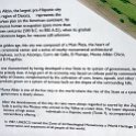 MEX OAX MonteAlban 2019APR04 005 : - DATE, - PLACES, - TRIPS, 10's, 2019, 2019 - Taco's & Toucan's, Americas, April, Day, Mexico, Monte Albán, Month, North America, Oaxaca, South Pacific Coast, Thursday, Year, Zona Arqueológica
