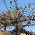 MEX OAX MonteAlban 2019APR04 010 : - DATE, - PLACES, - TRIPS, 10's, 2019, 2019 - Taco's & Toucan's, Americas, April, Day, Mexico, Monte Albán, Month, North America, Oaxaca, South Pacific Coast, Thursday, Year, Zona Arqueológica