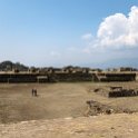 MEX OAX MonteAlban 2019APR04 032 : - DATE, - PLACES, - TRIPS, 10's, 2019, 2019 - Taco's & Toucan's, Americas, April, Day, Mexico, Monte Albán, Month, North America, Oaxaca, South Pacific Coast, Thursday, Year, Zona Arqueológica