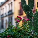 MEX OAX OaxacaDeJuarez 2019APR04 009 : - DATE, - PLACES, - TRIPS, 10's, 2019, 2019 - Taco's & Toucan's, Americas, April, Day, Mexico, Month, North America, Oaxaca, South Pacific Coast, Thursday, Year