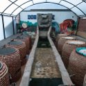 MEX OAX TeotitlanDelValle 2019APR04 MezcalDonAgave 009 : - DATE, - PLACES, - TRIPS, 10's, 2019, 2019 - Taco's & Toucan's, Americas, April, Day, Mexico, Mezcal Don Agave, Month, North America, Oaxaca, South Pacific Coast, Teotitlán del Valle, Thursday, Year