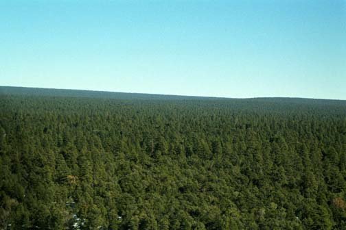 USA AZ GrandCanyon 2000NOV18 020