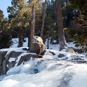 USA CA EagleFalls 2007FEB03 002 : 2007, 2007 - Tahoe Superbowl Trip, Americas, California, Date, Eagle Falls, February, Lake Tahoe, Month, North America, Places, Trips, USA, Year