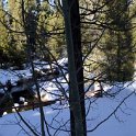 USA CA SouthLakeTahoe 2004JAN30 877Kata 006 : 2004, 2004 - Tahoe Superbowl Trip, 877 Kata Place, Americas, California, Date, January, Lake Tahoe, Month, North America, Places, South Lake Tahoe, Trips, USA, Year