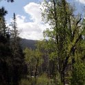USA CA SouthLakeTahoe 2006MAY20 877Kata 003 : 2006, 877 Kata Place, Americas, California, Date, Lake Tahoe, May, Month, North America, Places, South Lake Tahoe, USA, Year