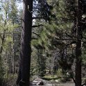 USA CA SouthLakeTahoe 2006MAY20 877Kata 008 : 2006, 877 Kata Place, Americas, California, Date, Lake Tahoe, May, Month, North America, Places, South Lake Tahoe, USA, Year