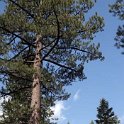 USA CA SouthLakeTahoe 2006MAY20 877Kata 009 : 2006, 877 Kata Place, Americas, California, Date, Lake Tahoe, May, Month, North America, Places, South Lake Tahoe, USA, Year