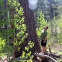 USA CA SouthLakeTahoe 2006MAY20 877Kata 018 : 2006, 877 Kata Place, Americas, California, Date, Lake Tahoe, May, Month, North America, Places, South Lake Tahoe, USA, Year