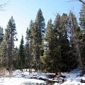 USA_CA_SouthLakeTahoe_2007FEB03_877Kata_004.jpg