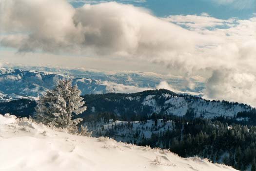 2003DEC20 USA ID BogusBasin 008