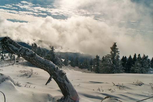 2003DEC20 USA ID BogusBasin 009
