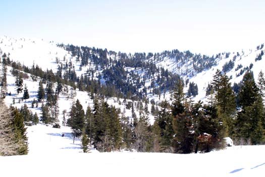 2004FEB22 USA ID BogusBasin 006
