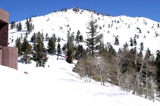 2004FEB22 USA ID BogusBasin 008
