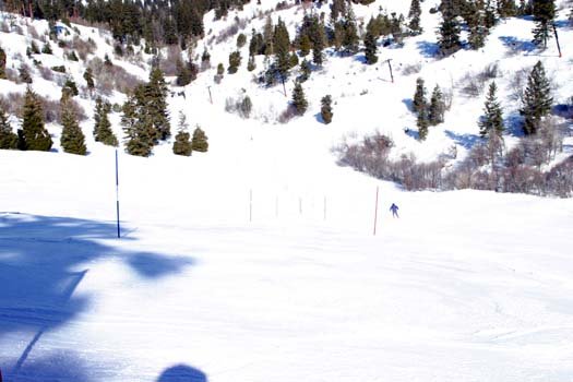 2004FEB22 USA ID BogusBasin 013