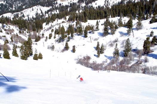 2004FEB22 USA ID BogusBasin 014
