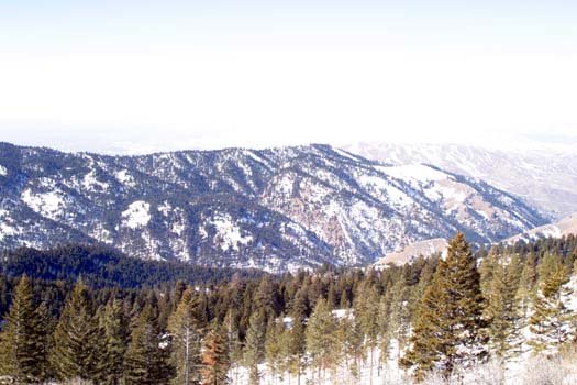 2004FEB22 USA ID BogusBasin 020