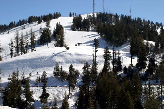 2004FEB22 USA ID BogusBasin 024