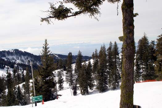 2004FEB29 USA ID BogusBasin 002