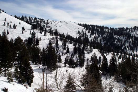 2004FEB29 USA ID BogusBasin 004