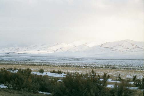 USA ID Juniper 2002MAR02 003