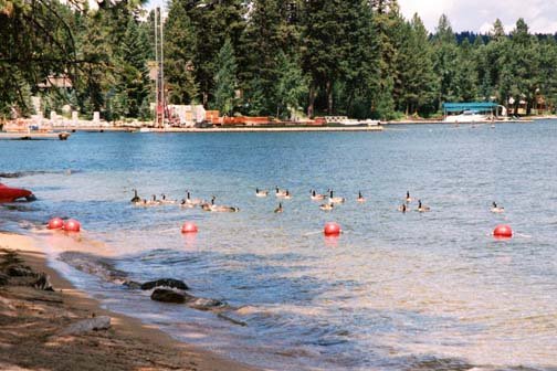 USA ID McCall 2000JUL08 001
