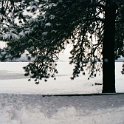 USA ID McCall 2001JAN13 003  We went up there for the annual "Snow Mobiling & Chill Out" weekend that I organize for my work crew. : 2001, 2001 - 2nd Annual Bed & Sled, Idaho, January, McCall, North America, USA
