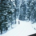 USA ID McCall 2001JAN13 009  This is the driveway to my mates cabin in McCall where we stayed. : 2001, 2001 - 2nd Annual Bed & Sled, Idaho, January, McCall, North America, USA