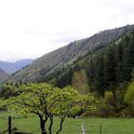 2005MAY07 USA ID Riggins 018 : 2005, Americas, Date, Idaho, May, Month, North America, Places, Riggins, USA, Year
