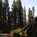 2005SEPT03 USA ID Stanley 003 : 2003, Americas, Date, Idaho, Month, North America, Places, September, Stanley, USA, Year