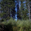 2005SEPT03 USA ID Stanley 014 : 2003, Americas, Date, Idaho, Month, North America, Places, September, Stanley, USA, Year