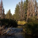 2005SEPT03 USA ID Stanley 015 : 2003, Americas, Date, Idaho, Month, North America, Places, September, Stanley, USA, Year