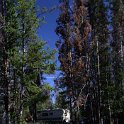 2005SEPT03 USA ID Stanley 019 : 2003, Americas, Date, Idaho, Month, North America, Places, September, Stanley, USA, Year
