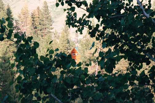 2000MAY22 USA ID WidernessRanch 004