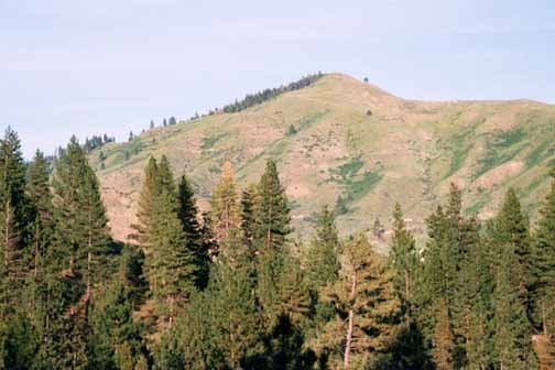 2000MAY22 USA ID WidernessRanch 007