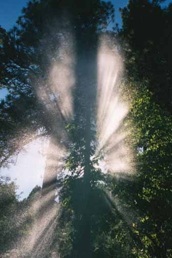 2000MAY22 USA ID WidernessRanch 014