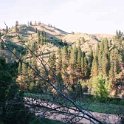 2000MAY22 USA ID WidernessRanch 005 : 2002, Americas, Date, Idaho, May, Month, North America, Places, USA, Widerness Ranch, Year
