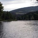 USA MT WiseRiver 2006JUN29 004 : 2006, 2006 - Where The Farq Is Fitzy, Americas, Date, June, Montana, Month, North America, Places, Trips, USA, Wise River, Year