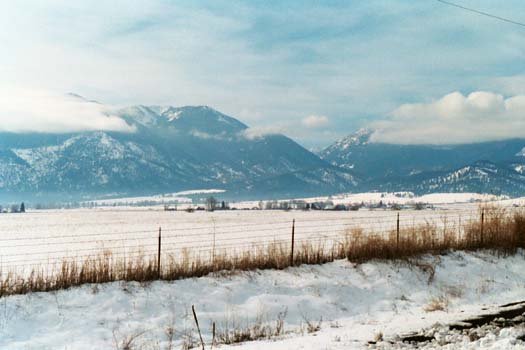 USA OR AnthonyLakes 2003FEB08 003