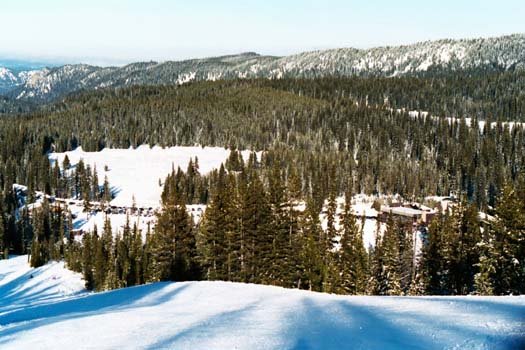 USA OR AnthonyLakes 2003FEB08 021