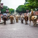 USA TX FortWorth 2019MAY22 009 : - DATE, - PLACES, - TRIPS, 10's, 2019, 2019 - Taco's & Toucan's, Americas, DFW, Day, Fort Worth, May, Month, North America, Stockyards, Texas, USA, Wednesday, Year
