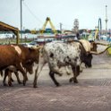 USA TX FortWorth 2019MAY22 015 : - DATE, - PLACES, - TRIPS, 10's, 2019, 2019 - Taco's & Toucan's, Americas, DFW, Day, Fort Worth, May, Month, North America, Stockyards, Texas, USA, Wednesday, Year