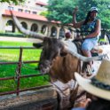 USA TX FortWorth 2019MAY22 017 : - DATE, - PLACES, - TRIPS, 10's, 2019, 2019 - Taco's & Toucan's, Americas, DFW, Day, Fort Worth, May, Month, North America, Stockyards, Texas, USA, Wednesday, Year