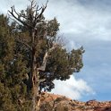 USA UT ArchesNP 2006JAN20 022 : 2006, 2006 - Southwest USA Meanderings, Americas, Arches National Park, January, North America, USA, Utah