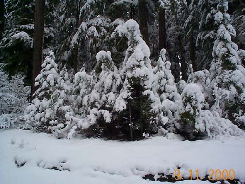 USA WA MountStHelens 2000NOV09 001