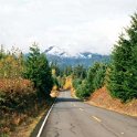 USA WA MountStHelens 2000NOV09 007 : 2000, 2000 - 3 Bastards From The Bush Tour, Americas, Date, Month, Mount St Helens, North America, November, Places, Trips, USA, Washington, Year