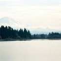 USA WA Seattle 2000NOV11 MountRanier 004 : 2000, 2000 - 3 Bastards From The Bush Tour, Americas, Date, Month, Mount Ranier, North America, November, Places, Seattle, Trips, USA, Washington, Year